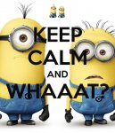 keep-calm-and-whaaat--2.jpg