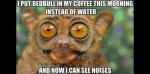 redbullcoffee-5aa1ad4fba61770037fa03ab.png