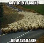 Sheep meme4.png