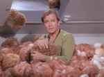 ST_TroubleWithTribbles.jpg