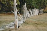 old-rickety-fence-.jpg