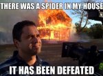 spider in house.jpg