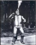 tinman.jpg