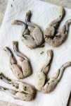 Frog-Legs-Recipe-4-683x1024.jpg