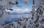 landscapes nature winter snow trees tahoe 1920x1200 wallpaper_wallpaperswa.com_58.jpg