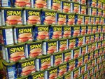 Spam.jpg