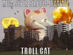 mega-troll cat.jpg