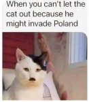 hitler_cat.jpg