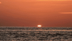 PosthumanSunset-211033-post983-section.gif