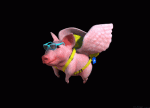 19-black-background-flying-pig-acegif.gif