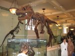 Museum-of-Natural-History-new-york-1106226_1920_1440-1943972377.jpg