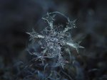 macro-photography-snowflakes-alexey-kljatov-2.jpg