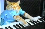 keyboard cat-play me out.jpg