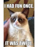 grumpy-cat-fun-poster.jpg