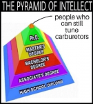 intellect.png