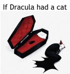 draculacat.jpg