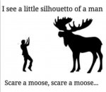 moose.jpg