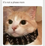 imagepng_0.png