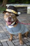 happy pit.jpg