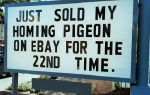 1748045716625.png