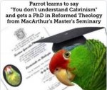 Parrot.JPG