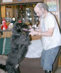 buddy 525 3 039.jpg