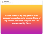 1748999944710.png