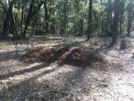 natural burial rs rs.jpg