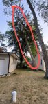 pinetreeza.jpg