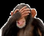 facepalm-monkey - Copy.jpg