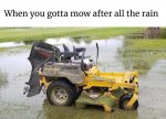 mow.jpg