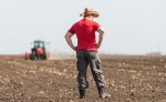 farmer-examing-planted-wheat-fields-field-tractor-plowing-133035960.jpg