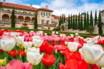 Philbrook grounds.png