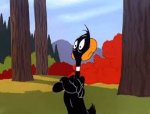 daffy8.jpg