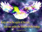 Psalm17_8.jpg
