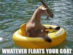 whatever-floats-your-goat.jpg