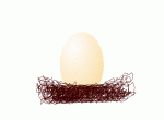 bird_egg.gif