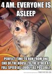 funny-cat-night-running-around-the-house.jpg