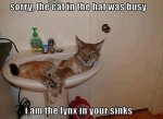 Funny-Cat-Pictures-with-Captions-10.jpg