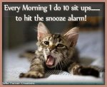 Funny-cats-top-35-most-funniest-cat-quotes-4.jpg