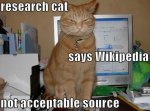 Wikipedia Cat.jpg