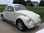 1967-Bug-Generic.jpg