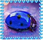 Ladybug%20Feeling%20Blue%20@%20SHaggerty%202013-1-L[2.jpg