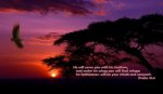 sun-set-wallpapers-with-bible-verse.jpg