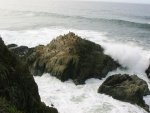 bodega bay 023.jpg