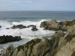 bodega bay 026.jpg