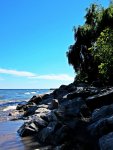 Lake Ontario Mississauga 2.jpg