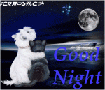 good_night_scrap-63.gif