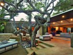 updated-mid-century-home-private-2-tier-courtyard-21-courtyard-thumb-630xauto-35402.jpg