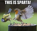 sparta.jpg